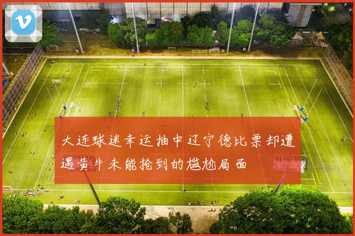 大连球迷幸运抽中辽宁德比票却遭遇黄牛未能抢到的尴尬局面